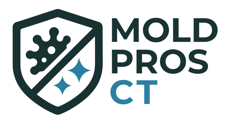 moldremovalct.com